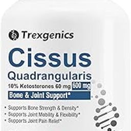 Trexgenics CISSUS QUADRANGULARIS Hadjod 10% Ketosterones 600 mg Joint Pain & Bone Density Support VEGAN & NON-GMO (60 Veg. Capsules) (Pack of 1)-28