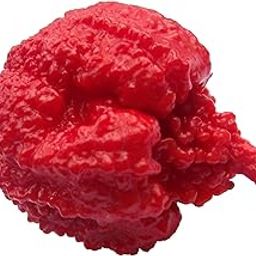 Nooelec Seeds India E Garden Organic Carolina Reaper Hp22B Pepper Premium 50+ Seeds Packet Record Hottest In The World 100% Organic Seeds-image-25