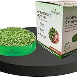 Seed Basket Complete Microgreens Growing Diy Kit With 3 Types Of Seeds| 2 Grow Bags | 1 Coco Block| 1 Water Spray Bottle And Instruction Manual-image-59