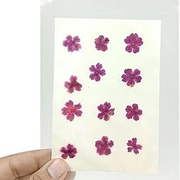 YellowCult Natural Mixed Real Dried & Multicolor Pressed Flowers for Art Craft - for DIY, Soap, Candle, Scrapbooking, Jewelry,Resin - [Cherry Blossom Flower-Blush Pink & Purple]-image-46