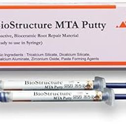 Dental BioStructure MTA Putty 2X 070G-image-1