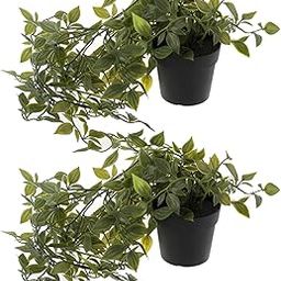 Kuber Industries Artificial Plant with Pot|Fake Plant Pots for Home D cor|Indoor Plant for Table, Balcony, Living Room|Pack of 2 (Green)-image-38