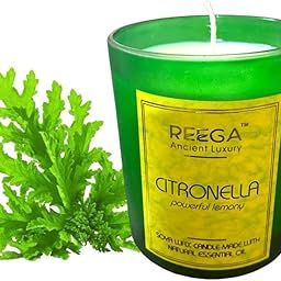 Reega Citronella Natural Soy Wax Candle | 200g | Aromatherapy | Pure Essential Oil | Scented Candles-image-27