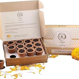 Astroyogi Sambrani Cups (12 Cups + 1 Stand) | Ayurvedic Havan Cups with Guggal & Loban | Natural Air Purifier & Aromatherapy | Charcoal-Free, Long Burning | Safe for Home & Meditation-picture-21