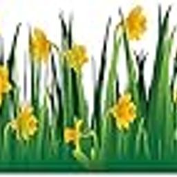 Akki Wold Green Grass with Yellow Flower Wall Sticker for Living Room, Bedroom, Kids Room, (Size - 140 Cm X 40 Cm)-12
