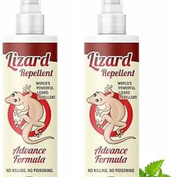 Lizard Repellent for Home Lizard Control | lizard repellent for home best, Natural Non Toxic, Irritant-Free, Chemical-Free | Lizard spray, lizard killer-20