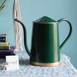 ecofynd 1.5 Litre Metal Watering can for Plants, Garden Water can for Kids, Flower Watering Pot for Home Gardening, Color - Amazon Green, Size - 1.5 L with spout-image-63