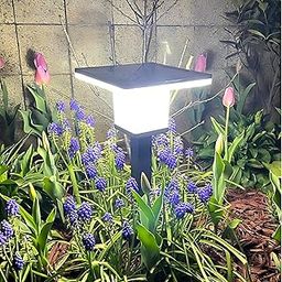 Solar Garden Pathway Light, 5V 4W Fast-Charging Bollard Lamp for Outdoor Pathways, Walkways & Driveways – Warm White LED, Auto On/Off, Weatherproof ABS Build, Ground Mounting, 1-Year Warranty-image-33