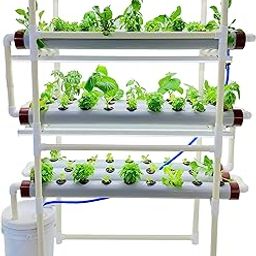 Pindfresh Hydroponic Kit for Home or Office - The Tashi Home Indoor NFT Hydroponic System with Growlights for Growing 81 Leafy Greens - All Inclusive kit (Standard Model, Small Reservoir)-image-5