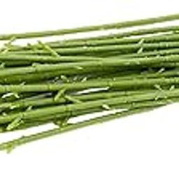 Bnf® 20Pcs Floral Wire Stems Decor for Flower Arrangements for Party Home Wedding|Home & Garden|Home Decor|Floral D?©cor-image-59