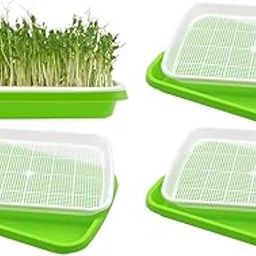 Seed Sprouter Tray with Drain Holes | BPA Free Nursery Seed Germination Tray Healthy Wheatgrass Seeds Grower & Storage Tray for Garden Home Office with Germinating Paper (Pack of 4)-image-71