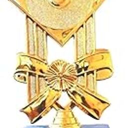 AGH Award for Best Person,Winner for School Collage Events (9)-image-80
