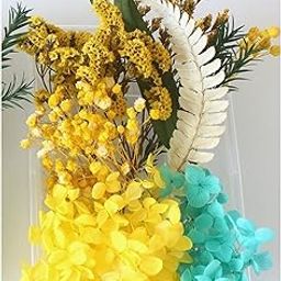 iKalaa Preserved Dried Flower | Resin Art |Nail Art | Jewelry | Candle Making | Craft & DIY Accessories (Yellow and Sky Blue)-image-19