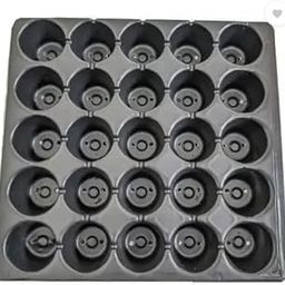 Sage Garden Plastic Seed Germination Seedling Tray (Black 25 Cavity 2 Pices)-picture-10
