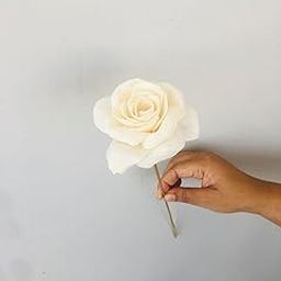 Vanchai Natural Dried, Dried, Vase Filler for Home, Office, Bedroom, Table Corner Decoration, DIY Craft ? Set of 5 (Rose Sola Flower (5pcs))-image-91