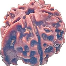 Natchcart Ganesha Rudraksha Bead Lab Certified Siddha in Handmade Tassel from Nepal-26