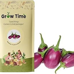 Growtime Brinjal Purple Vegetable Seeds, Vegetable Seeds for Home Gardening, Vegetable Planting Seeds for Kitchen, Brinjal Purple Seeds (Purple, Pack of 2g)-image-78