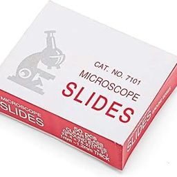 50-Pack of Microscope Glass Slides | Best Quality Slides-10