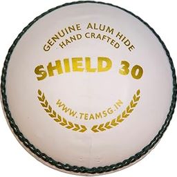 SG Shield 30 Water Proof Cricket Leather Ball (White)-image-66