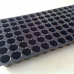 Seeds Seedling Tray 98 Holes (Pack of 4)-picture-31