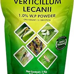 OrganicDews Verticillium lecanii 1 Kg(1x10^8 CFU/g) for Plants 1 Kg-image-79