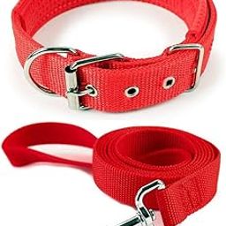 Berlin's Dog Belt and Leash for Medium Dogs, Dog Collar and Leash for Dogs - Beagle, Pug, Shiba Inu Lease Length 5 feet (Red, Medium 1 Inch)-image-38