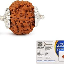 Gemsmantra 5 Mukhi Rudraksha Pendant | Original Nepali | Regular size | Natural and Lab Certified | Helps to Improve Self Confidence, Spiritual Growth, and Balancing Chakra Points (Brown, Unisex)-image-66