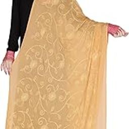 Woman's Beige Embrodiered Chiffon dupatta-image-2