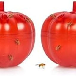 Pumpkin-Shaped Fruit Fly Trap, 2.4 x 2.2 inch, Reusable Gnat Catcher for Kitchen, Red, Pack of 2-0