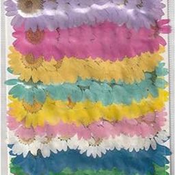 Meraki artencial Store Natural Dry Mixed Daisy Flower for Art & Craft for Soap, Artificial Candles, Scrapbooking, DIY, Resin Art, Jewelry, Pendant ( Mixed Daisy, Set of 1, Pcs 100 , Multicolor)-image-14