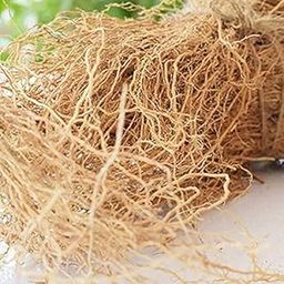 100% Natural Khus Root - Vetiveria Zizanioides Vala Kas Ramacham Vetiver Vettiver खस की जड़ (100 Grams)-image-88