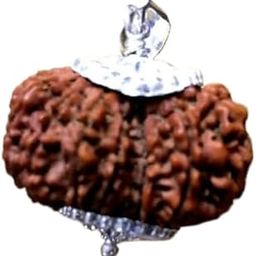 Retrend Design® 17 Mukhi Rudraksha Original Certified Premium Rare Nepali Bead 17 Face Rudraksha Pure & Natural Satrah Mukhi Rudraksha सत्रह मुखी रुद्राक्ष Seventeen Mukhi Rudraksha-picture-13