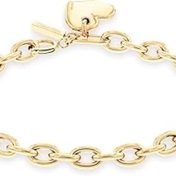 Alluring Family Ionic Plated Gold Steel Women's Bracelet - 35000297-33