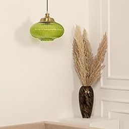Divine Trends Ribbed Green Melon Glass Hanging Pendant Light Antique Brass Finish | Hanging Lights for Living Room, Bedroom | Ceiling Lamps for Home Decoration, Kitchen, Dining Pendant Lamps-29