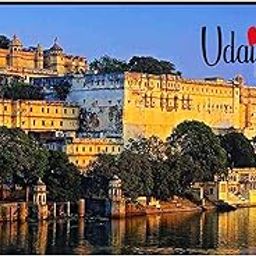 AVI Rubber Rectangular Fridge Magnet Multicolour Udaipur Rajasthan Design Travel Souvenir RFM00140-image-82