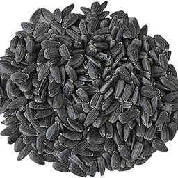 Sunflower Seeds 2 KG - All Life Stages Bird Food (Black Seeds, 2 Kg), 1 Count-image-76