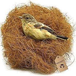ECO SOFT Natural Coconut Fiber Nesting Material For All Birds And Small Animals Sufficient For 4 Bird Nests(Nest Fiber(250 Gm))-image-4
