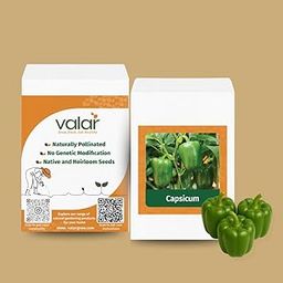 Valar Capsicum Seeds | Open Pollinated Non-GMO Seeds | Home Gardening, Balcony Farming, Sweet & Spicy Peppers (Capsicum)-picture-28