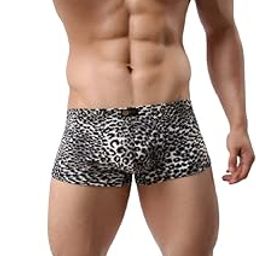 Men's Sexy Leopard Printed Low Rise Comfortable Polyester Briefs Frenchie Underwear/Underpants (Black, Size - L)-image-20