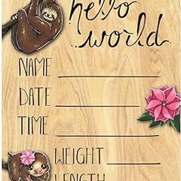 Cohas Hello World Newborn Baby Announcement Printed Wood Sign with Pink Sloth Theme, 12 by 16 Inches, No Marker-image-67