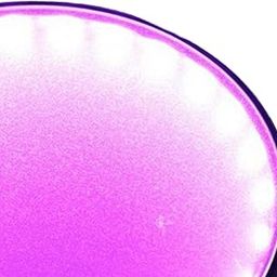 Club Bollywood®Light Display Base Strong Round Durable for Jewelry Models Collectibles Pink|Home & Garden | Night Lights|1 Light Base-16