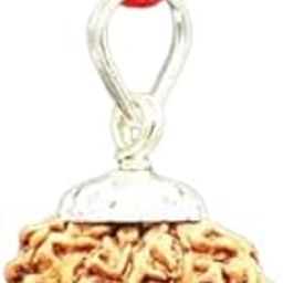Real 9 Mukhi Rudraksha With Lab Certificate Navmukhi Rudraksh Pendant 9 मुखी रुद्राक्ष नेपाली ओरिजनल For Wearing Purpose-picture-12