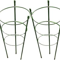 LEOBRO 2 Pack Plant Support Cage Metal Rust Resistant Garden Plant Support Ring Plant Stake Plant Support for Tomato, Trellis, Climbing Plant, Flower, 17.7” High, 5.48”/6.18”/6.89” Inner Diameter-image-15