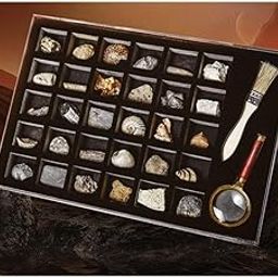 ATORSE Toy Educational Science Set Natural SPECIMENS Collection KIT (30pcs) with Magnifier & Brush-image-27