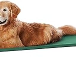 amazon basics Large Elevated Cooling Mesh Fabric Pet Dog Cot Bed - 51 X 31 X 8 Inches, Green-picture-22