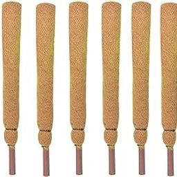 Bio Blooms Agro India Pvt. Ltd. Coco Pole - Coir Moss Stick | Plant Creepers Support | Brown | 1 feet | 8 Pieces | Indoor and Outdoor Uses |-image-34