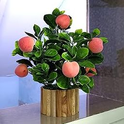 Olive Trees Plastic Artificial Fake Fruit Plant For Home Decor With Pot- Indoor Artificial Plant With Pot For Decoration Of Living Room Showcase Or Office Table, Green-image-33