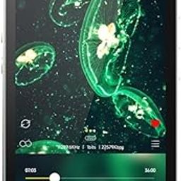 HiBy R4 Next-Gen Digital Audio Player with Spotify, Bluetooth, Wi-Fi, and Android 12 OS | 4-Way HiFi DAP with 3.5mm & 4.4mm Balanced Outputs | 32GB Internal + Expandable Memory up to 2TB (Green)-image-67