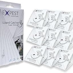HOFASON 9 in 1 Lizard & Cockroaches Traps Non-Toxic Detection Traps. Detects, Traps, and Catch Insects Such as Lizard, Spiders, Crickets, Cockroaches and Ants, Best for Home, Office, Hotel, Kitchen-8