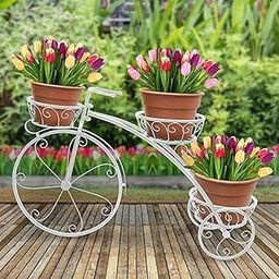 ZenZest Indoor/Outdoor Plantar Stand Metal Plant Strong 3 Potted Plant Stands-Iron Vertical Planter for Patio, Garden, Lawn, and Balcony (White)-image-43